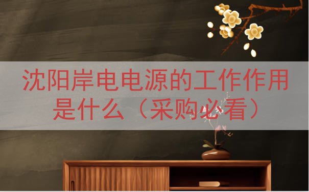 沈阳岸电电源的工作作用是什么（采购必看）